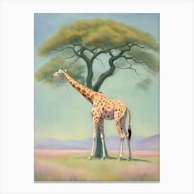 Giraffe in Africa Canvas Print