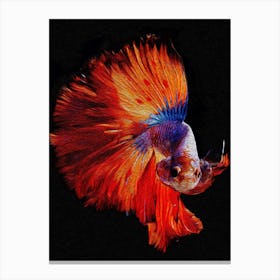 Big Tail Siamese Fighting Fish Digital Painting Canvas Print