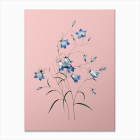 Vintage Campanule Clochette Botanical on Soft Pink n.0682 Canvas Print