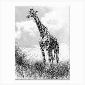 Lone Giraffe In The Wild 3 Canvas Print