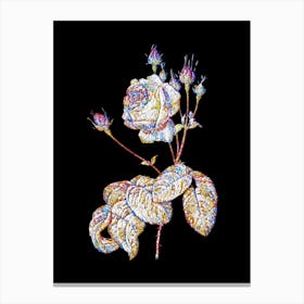 Stained Glass Cabbage Rose Mosaic Botanical Illustration on Black n.0208 Canvas Print