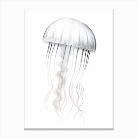 Sea Nettle Jellyfish Watercolour 4 Canvas Print