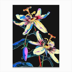 Neon Flowers On Black Passionflower 1 Canvas Print