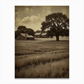 Sepia Canvas Print