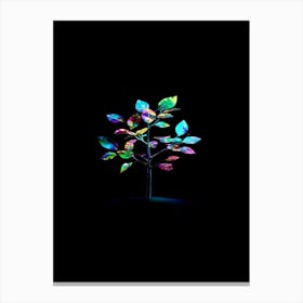 Tree In The Dark 40 Canvas Print