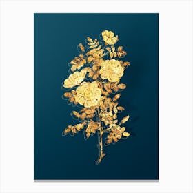Vintage White Burnet Roses Botanical in Gold on Teal Blue n.0358 Canvas Print
