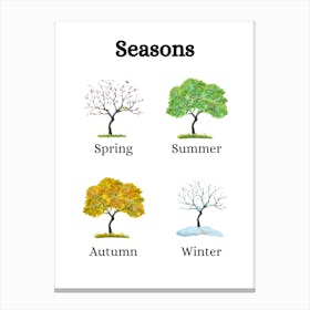 Educational Poster Seasons In A Tree Canvas Print