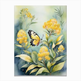 Butterfly On Australia Yellow Wattle Flowers Canvas Print