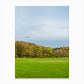 Birmingham Park Canvas Print