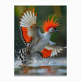 Cockatoo Canvas Print