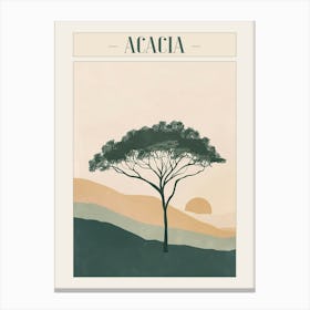 Acacia Tree Minimal Japandi Illustration 1 Poster Canvas Print