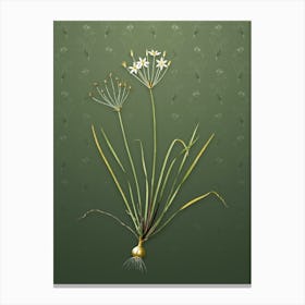 Vintage Allium Straitum Botanical on Lunar Green Pattern Canvas Print