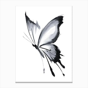 Butterfly Painting Canvas Print