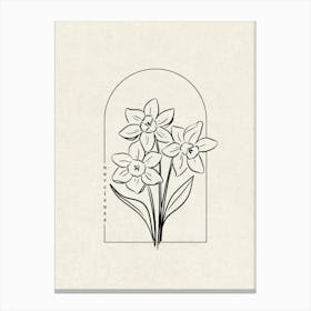 Narcissus Flower Canvas Print