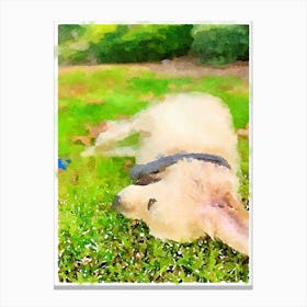 Dog Laying In The Grass 1 Canvas Print