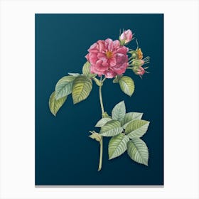 Vintage Pink Francfort Rose Botanical Art on Teal Blue n.0020 Canvas Print