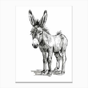 B&W Donkey 2 Canvas Print