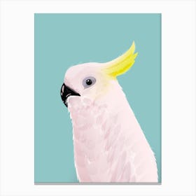 Cockatoo Stampe su tela