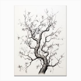 Tree Branches, Japanese Brush Painting, Ukiyo E, Minimal 4 Canvas Print