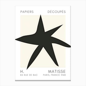 Matisse 26 Canvas Print