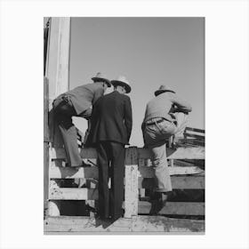 West Texas Cattlemen Looking Over The Cattle Which Are Offered For Sale, Stockyards, San Angelo, Texas By Canvas Print