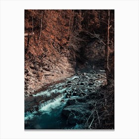 Idyllic River Through The Woods 3 Canvas Print