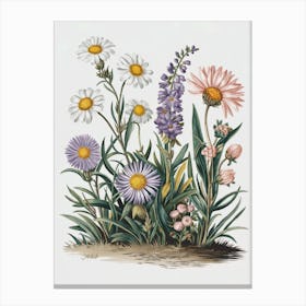 A Botanical Illustration Of Wildflowers  Toile