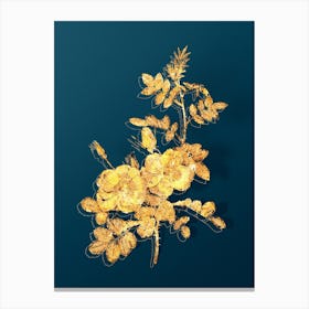 Vintage Yellow Sweetbriar Roses Botanical in Gold on Teal Blue n.0026 Canvas Print