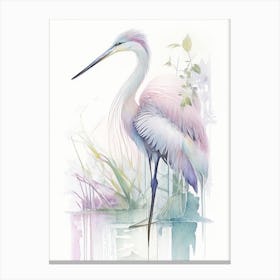 Cocoi Heron Gouache 2 Canvas Print