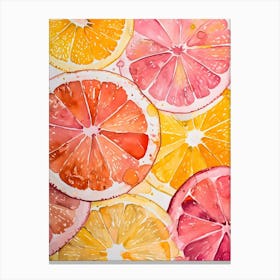 Watercolor Of Oranges And Grapefruits Canvas Print