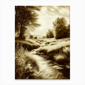 Sepia 16 Canvas Print