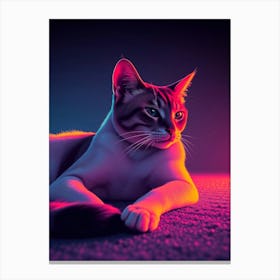 Feline Creative Cat Illustration 24 1 Canvas Print