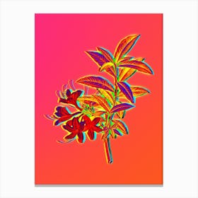 Neon Yellow Azalea Botanical in Hot Pink and Electric Blue n.0107 Canvas Print