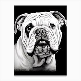 Bulldog Dog, Line Drawing 3 Canvas Print