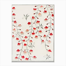 Cherry Blossom From Bijutsu Sekai, Watanabe Seitei Canvas Print