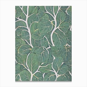 Common Fig tree Vintage Botanical Canvas Print