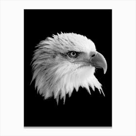BW Bald Eagle in my Line Illustration Canvas Print