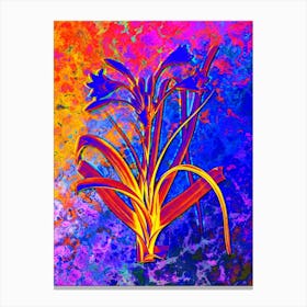 Malgas Lily Botanical in Acid Neon Pink Green and Blue n.0209 Canvas Print