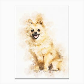 Pomeranian Dog 3 Canvas Print