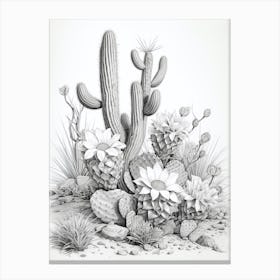 Vintage Cactus Illustration Bunny Ear Cactus B&W Canvas Print