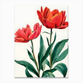 Red Tulips 1 Canvas Print