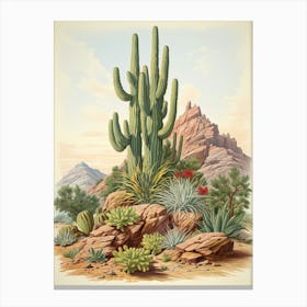 Vintage Cactus Illustration Organ Pipe Cactus Canvas Print