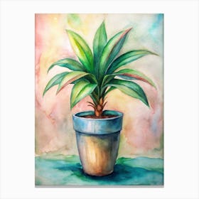 Potted Plant Watercolor Painting 3 Canvas Print