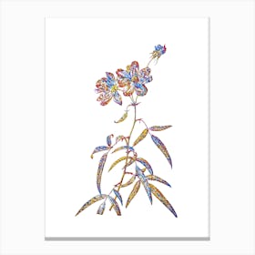 Stained Glass Peach Leaved Rose Mosaic Botanical Illustration on White Canvas Print