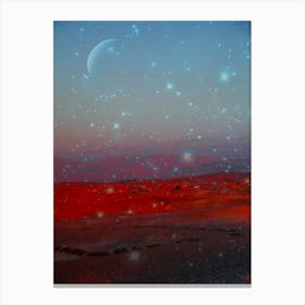 Desert Cosmos Canvas Print