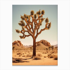  Photograph Of A Joshua Trees In Mojave Desert 1 Canvas Print