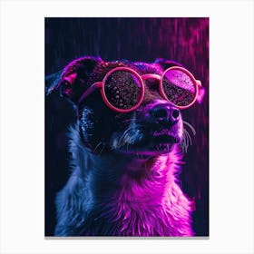 Beautiful Dog Under Neon Lights 22 Canvas Print