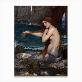 A Mermaid, John William Waterhouse Canvas Print