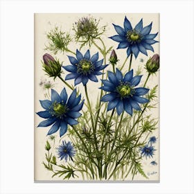 Blue Cosmos 3 Canvas Print