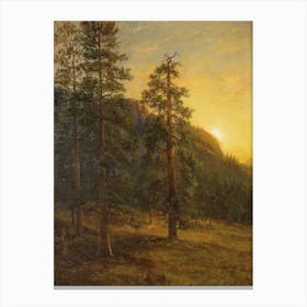 California Redwoods, Albert Bierstadt Canvas Print